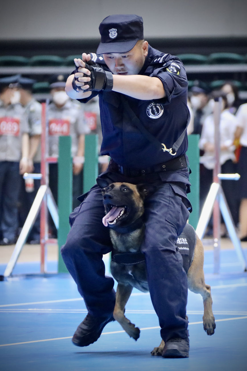 保安員進(jìn)行犬防演練。天津公安供圖