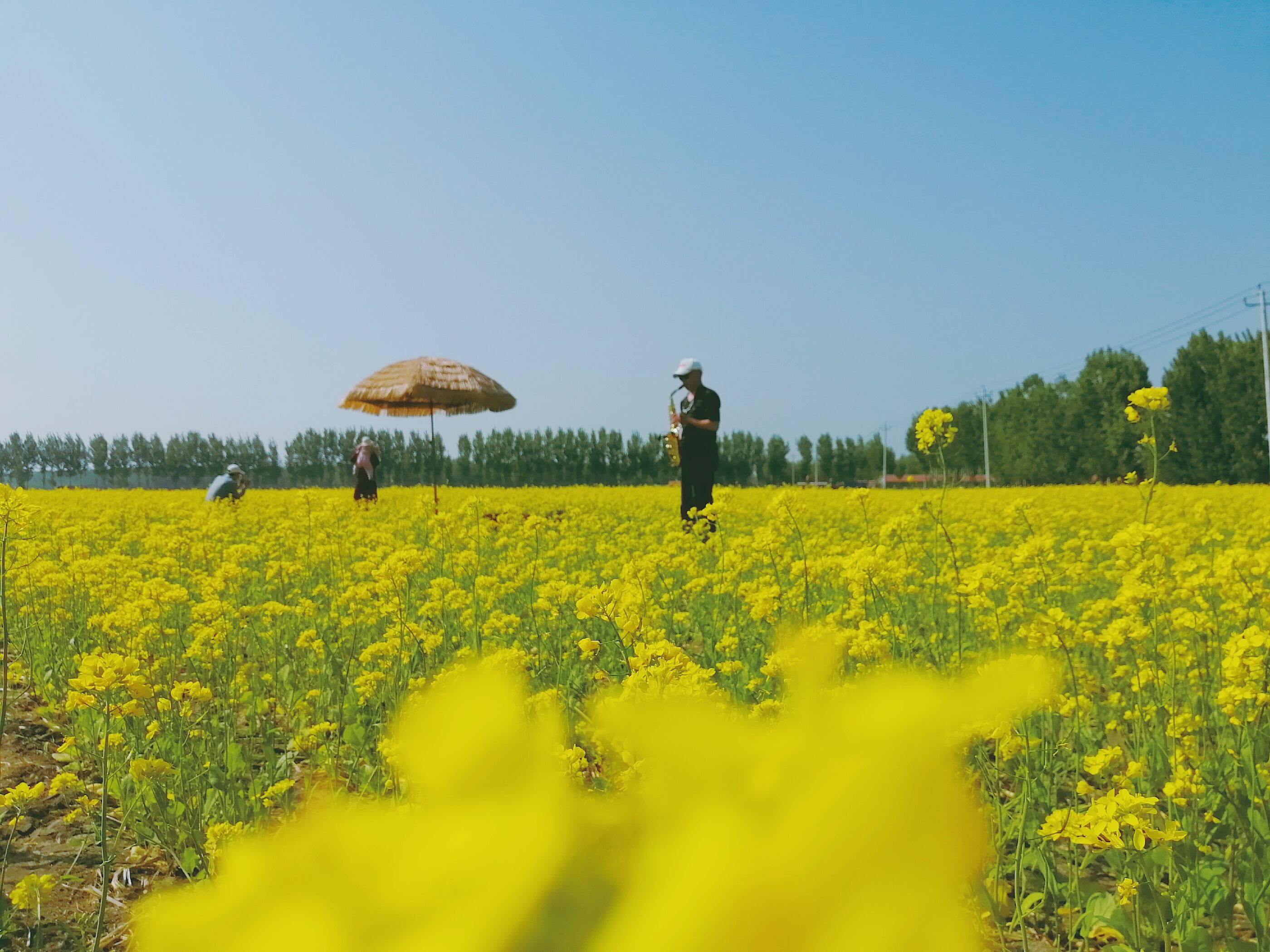 初夏，?豐臺(tái)鎮(zhèn)岳秀莊村300畝油菜花海芳香四溢，吸引四方游客前來(lái)“打卡”。寧河區(qū)供圖