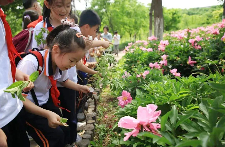 學生們興趣盎然。劉恩昊攝