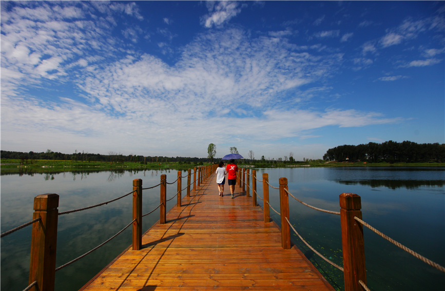 游人在潮白河國(guó)家濕地公園游覽。寶坻區(qū)供圖