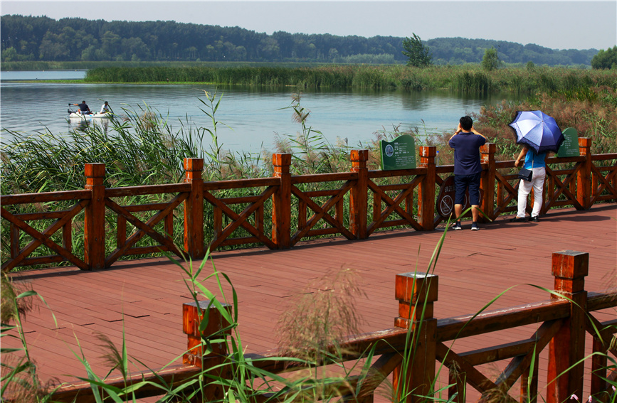 游人在潮白河國家濕地公園游覽。寶坻區(qū)供圖