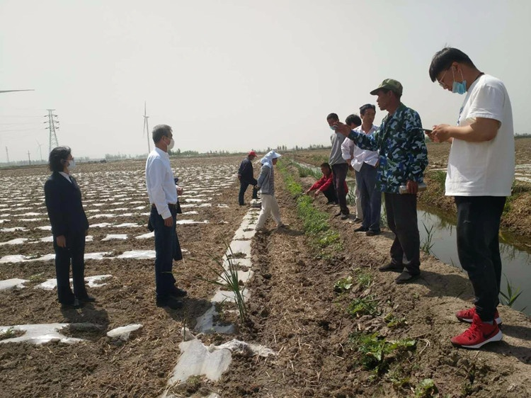 寧河區(qū)人民法院工作人員在東棘坨鎮(zhèn)毛毛匠村田間為種植戶制定調解方案。寧河區(qū)人民法院供圖