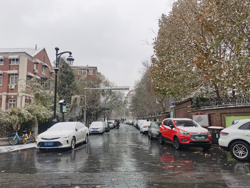 12月13日，天津迎來降雪，空氣清新景色如畫。人民網(wǎng)記者 陶建攝