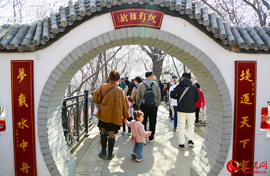 天津北運(yùn)河畔桃花盛開(kāi)，游人如織。人民網(wǎng)記者 崔新耀攝