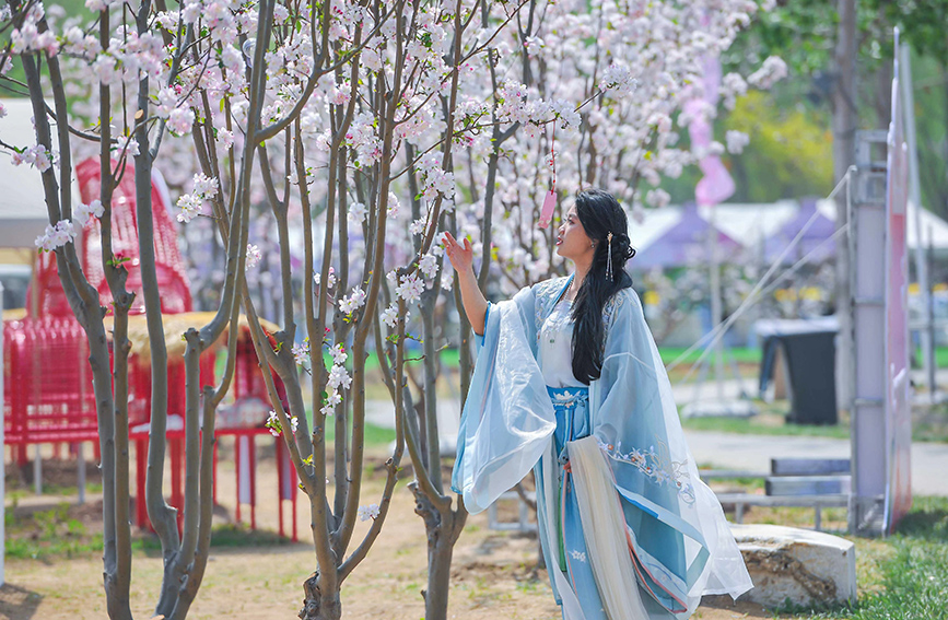 游客在景區(qū)駐足拍照。武清區(qū)委宣傳部供圖