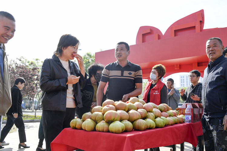 “歡坨西紅柿節(jié)”現(xiàn)場。東麗區(qū)委宣傳部供圖