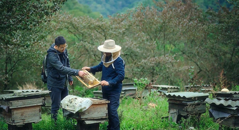 中國式現(xiàn)代化丨人不負青山 青山定不負人